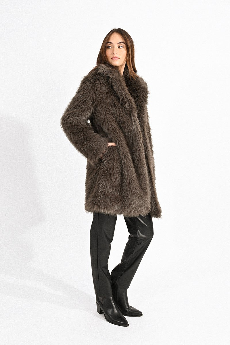 TAUPE