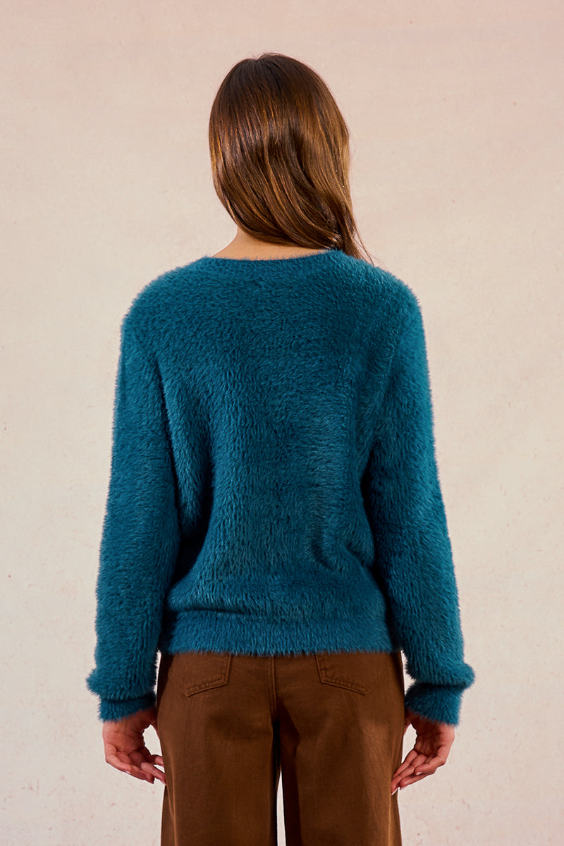 DUCK BLUE