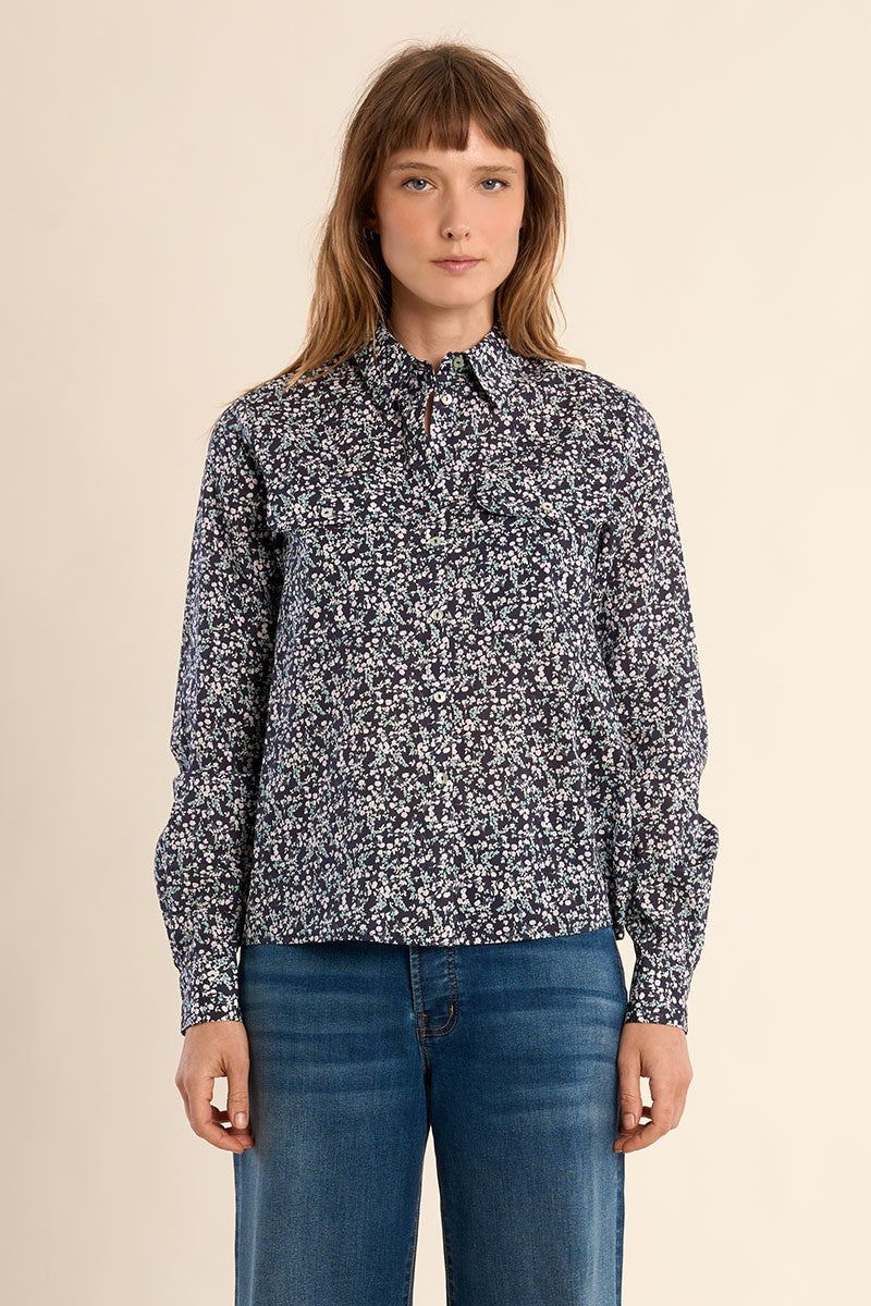 NAVY DAISY