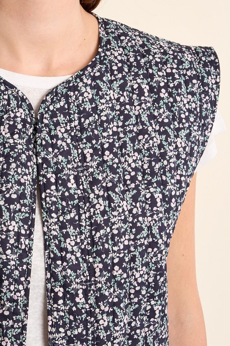 NAVY DAISY