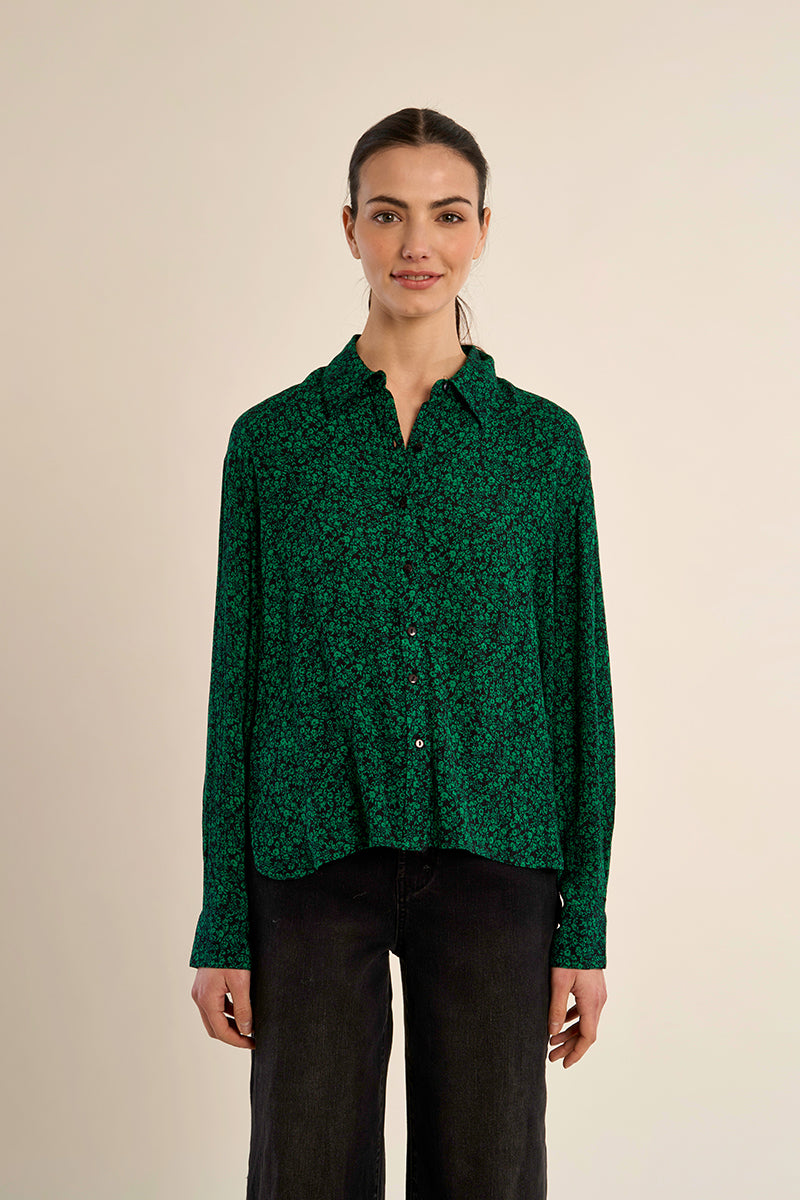 GREEN DOROTHE