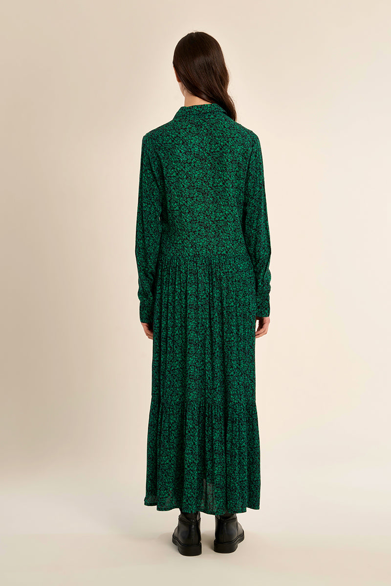 GREEN DOROTHE